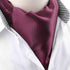 Modern Men's Ascot Cravat Tie