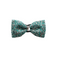 Turquoise Rhinestone Crystal Bow Tie