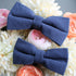 Rory Steel Blue Solid Adult Pre-Tied Bow Tie