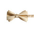 Double-Deck Gold Satin Bow Tie & Pocket Square Set