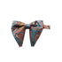 Teal & Orange Paisley Long-Tail Bow Tie & Pocket Square Set
