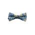 Easton Blue & Yellow Floral Adult Pre-Tied Bow Tie
