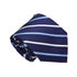 Fiona Blue Stripes Traditional Wide Tie