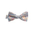 Auden Silver Floral Bow Tie
