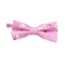 Kelsey Pink Floral Bow Tie