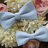 Rayne Light Blue Solid Bow Tie